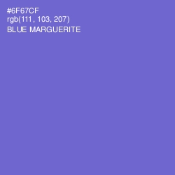 #6F67CF - Blue Marguerite Color Image