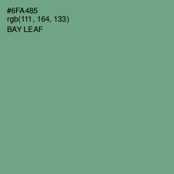 #6FA485 - Bay Leaf Color Image
