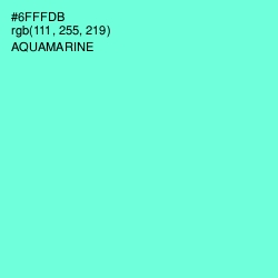 #6FFFDB - Aquamarine Color Image