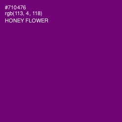 #710476 - Honey Flower Color Image