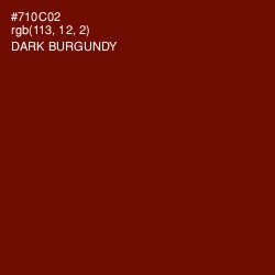 #710C02 - Dark Burgundy Color Image