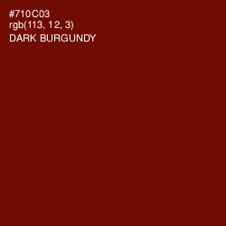 #710C03 - Dark Burgundy Color Image