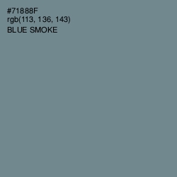 #71888F - Blue Smoke Color Image
