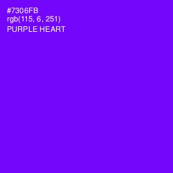 #7306FB - Purple Heart Color Image