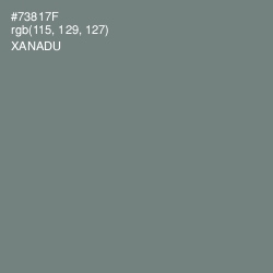 #73817F - Xanadu Color Image