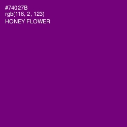 #74027B - Honey Flower Color Image