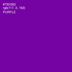#7503A3 - Purple Color Image