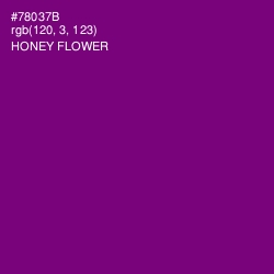 #78037B - Honey Flower Color Image