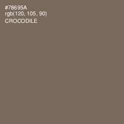 #78695A - Crocodile Color Image