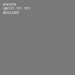 #797979 - Boulder Color Image