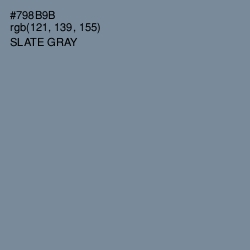 #798B9B - Slate Gray Color Image