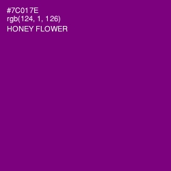 #7C017E - Honey Flower Color Image