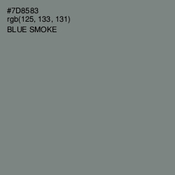 #7D8583 - Blue Smoke Color Image