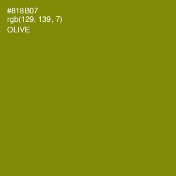 #818B07 - Olive Color Image