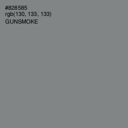 #828585 - Gunsmoke Color Image