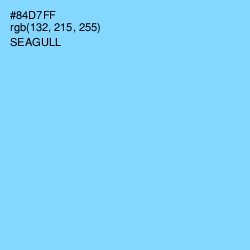 #84D7FF - Seagull Color Image