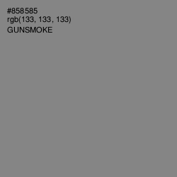#858585 - Gunsmoke Color Image
