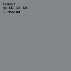 #85888A - Gunsmoke Color Image