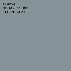 #859296 - Regent Gray Color Image