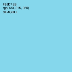#85D7EB - Seagull Color Image
