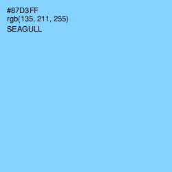 #87D3FF - Seagull Color Image
