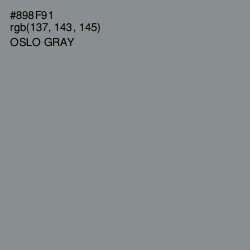 #898F91 - Oslo Gray Color Image