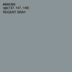 #899395 - Regent Gray Color Image