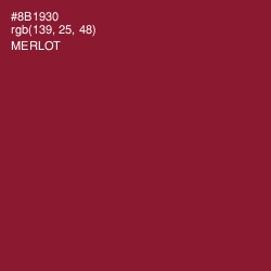 #8B1930 - Merlot Color Image