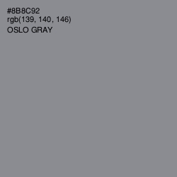 #8B8C92 - Oslo Gray Color Image