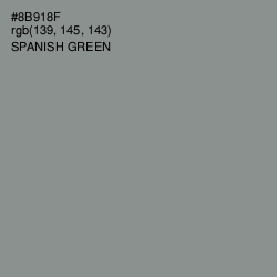 #8B918F - Spanish Green Color Image