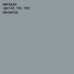 #8F9AA0 - Manatee Color Image