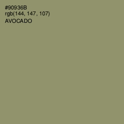 #90936B - Avocado Color Image