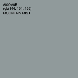 #909A9B - Mountain Mist Color Image