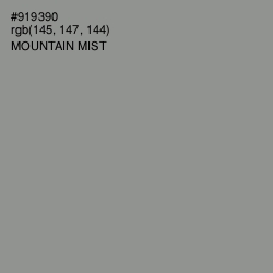 #919390 - Mountain Mist Color Image