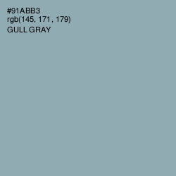 #91ABB3 - Gull Gray Color Image