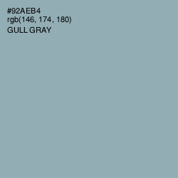 #92AEB4 - Gull Gray Color Image