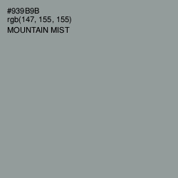 #939B9B - Mountain Mist Color Image