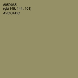 #959065 - Avocado Color Image