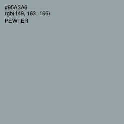 #95A3A6 - Pewter Color Image