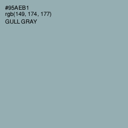 #95AEB1 - Gull Gray Color Image