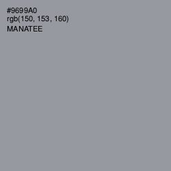 #9699A0 - Manatee Color Image