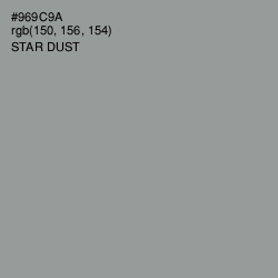 #969C9A - Star Dust Color Image