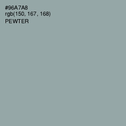 #96A7A8 - Pewter Color Image