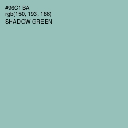 #96C1BA - Shadow Green Color Image