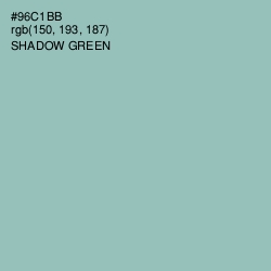 #96C1BB - Shadow Green Color Image