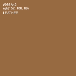 #986A42 - Leather Color Image