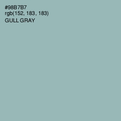 #98B7B7 - Gull Gray Color Image