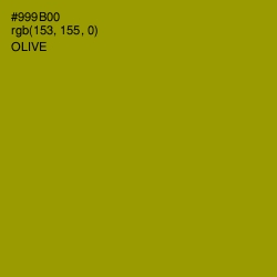 #999B00 - Olive Color Image