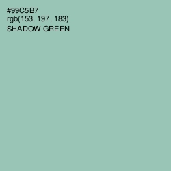#99C5B7 - Shadow Green Color Image