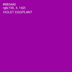 #9B04A2 - Violet Eggplant Color Image